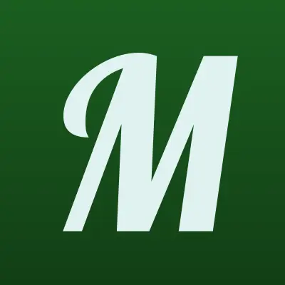 МегаФон, сеть салонов связи, лого-визитка